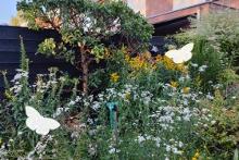 Tuin vol bloemen – Marjelle Molenaar