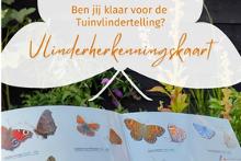 Vlinderherkenningskaart – Marjelle Molenaar