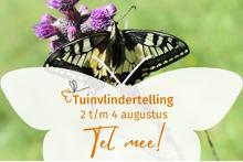 Koninginnenpage © Nora Thierry