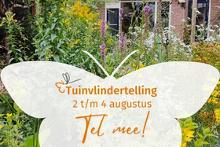 Tel mee met de Tuinvlindertelling 2024.