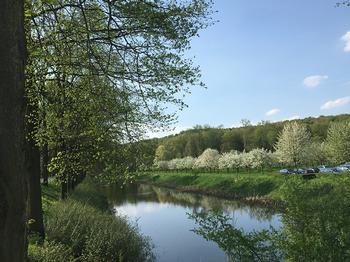 boomgaard in bloesem bij kasteel Doorwerth