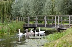 De Fliert op landgoed Hunderen