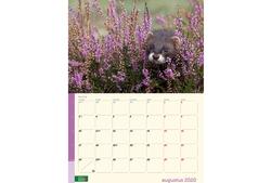 kalender 2020 Geldersch Landschap & Kasteelen