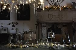 Cannenburch in kerstsfeer