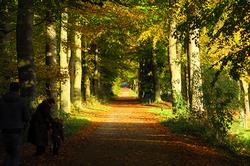 herfstkleuren op landgoed Mariëndaal
