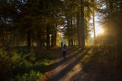 wandelen in het park van landgoed Schaffelaar