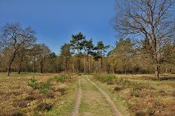Vuursteenberg in het voorjaar
