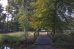 herfstlandschap landgoed Warnsborn